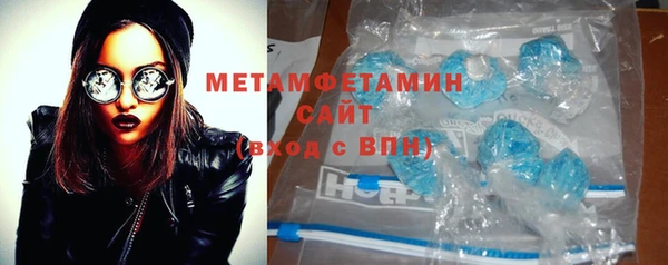 прущие грибы Козловка