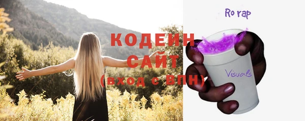прущие грибы Козловка