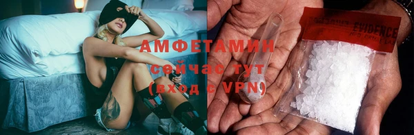 прущие грибы Козловка