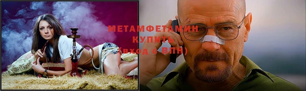 прущие грибы Козловка