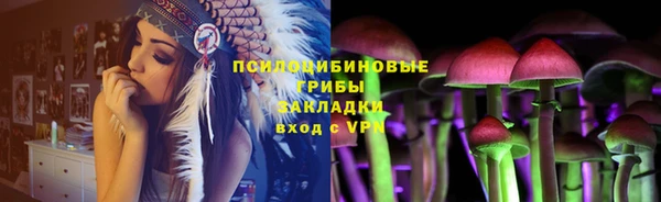 сатива Кодинск