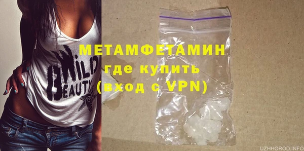 прущие грибы Козловка