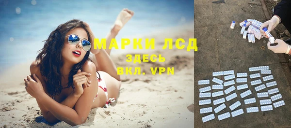 сатива Кодинск